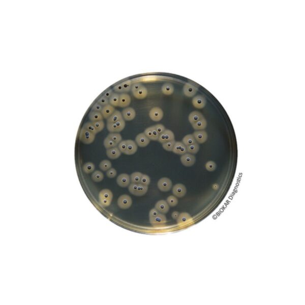 Biokar - Microbiology - Kits